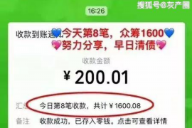 吉林为什么选择专业追讨公司来处理您的债务纠纷？